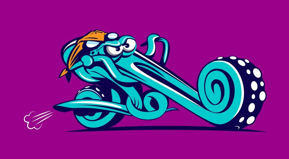 What is a Motorcycle Squid